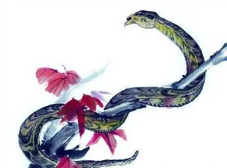 身体健康状况情况