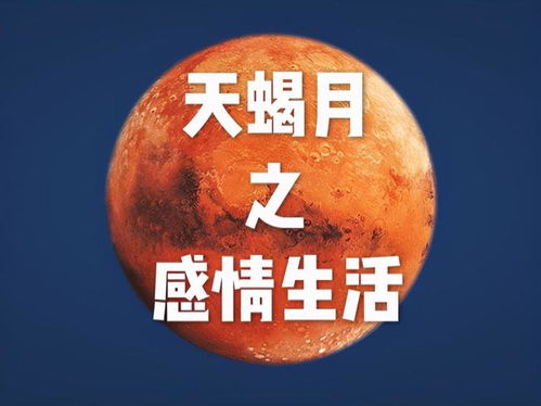 财务稳定与潜在收获