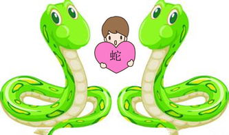 感情需求与婚姻关系期望