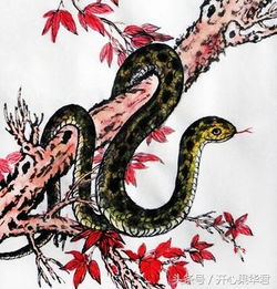 属蛇的人：较深思熟虑的商人之才