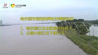 二、生肖星座与水域居住的关系