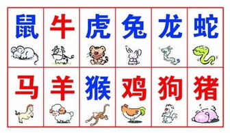 冲