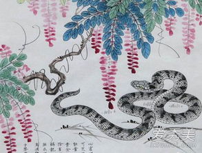 属蛇女的独立与智慧