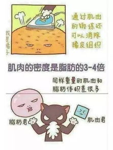 住宅风水，影响健康？