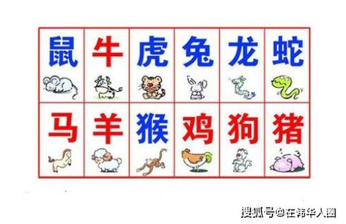 先把好牌列出来 再谈坏牌，别让你以为只是正反两面