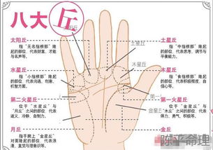 手相也能算命哦~