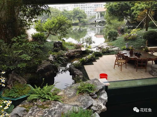 别把鱼池搬到北方——土克水， 可不是开玩笑