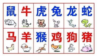 生肖兔的相关文化含义