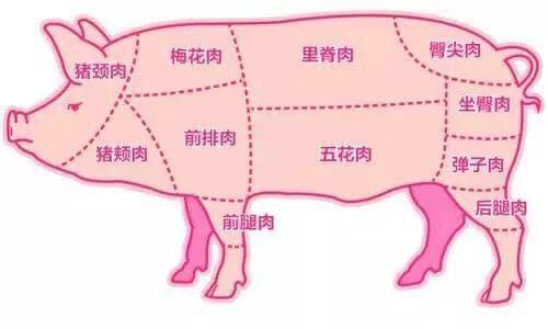 揭秘左屁股肉跳吉凶之谜