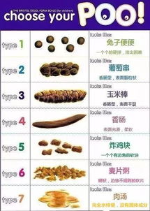 第五章：结合2026年的气象趋势