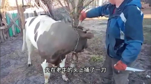 协作与沟通