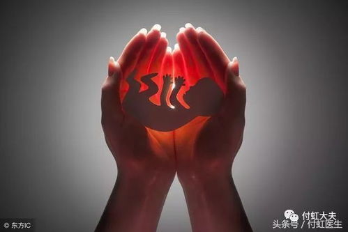 怎么判断“升天”还是“转世”？