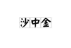 先说说啥是沙中金命