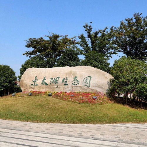 套餐内容：花钱买罪受