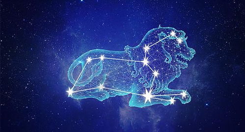 狮子（Leo）——王者风范与自信光环