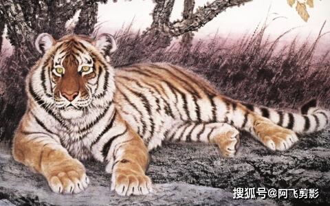 2026年小贴士：天气与黄历结合运势分析
