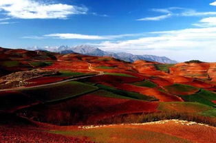 1. 东川红土地：上帝打翻的调色盘（其实是较大地火红了）
