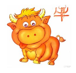 2. 属狗女：三刑不宜