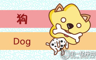 属狗人的冲煞：别跟龙、 兔撞上