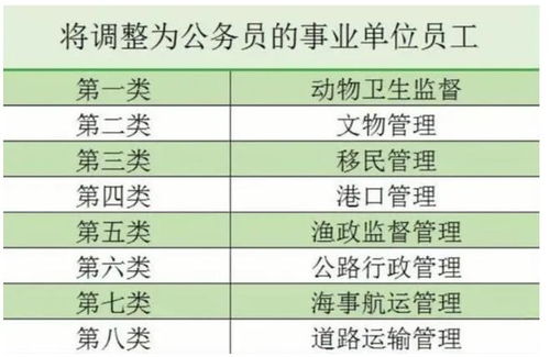二、 职场预测：从诞生盘到晋升窗口
