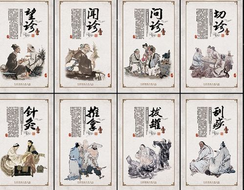 古人智慧：经络的奥秘