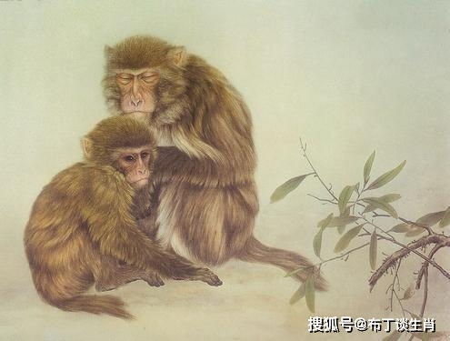 一、缘分三合——鼠、龙、蛇
