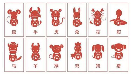 事业：技术手段、 科研、文职都能玩转