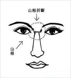 鼻子——信息密钥