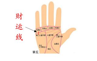 把星座加进去，让解读更立体