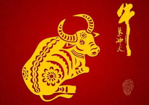 属牛的人