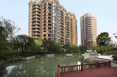 明堂与水系——怎么让阳光和水流帮你发财