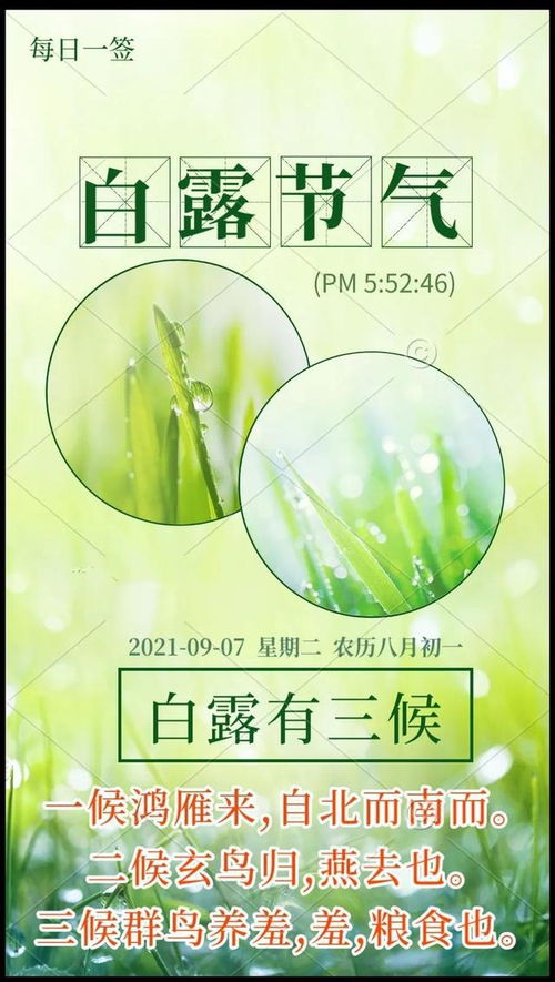 为哪些会有这么细致的划分？
