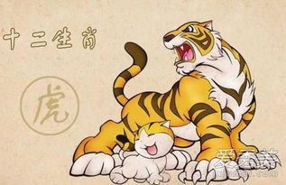 实用提议：怎样让