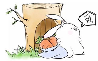 2. 龙与兔：浪漫火花四射