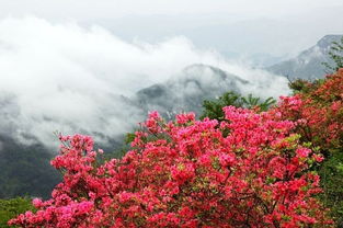 交通运输指南：堵到天荒地老，质疑人生