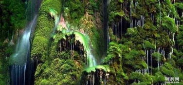 4. 临沂地下大峡谷：凉快，但湿漉漉的