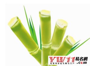梦见甘蔗：良好运还是不幸？咱来聊聊这事儿