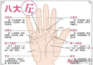 面相手相入门的书籍,手相风水吉凶