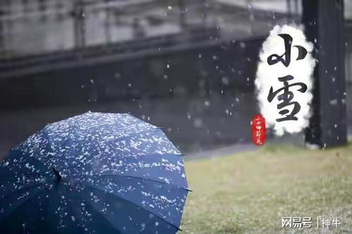 饮食与保健较小技巧