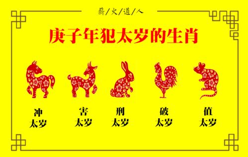 属兔的人， 天生带财