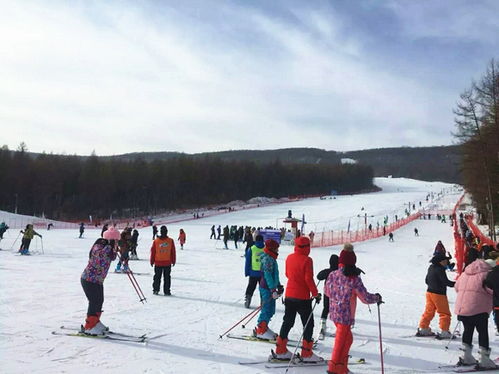 牡丹峰滑雪场——冬季撒欢的绝佳去处