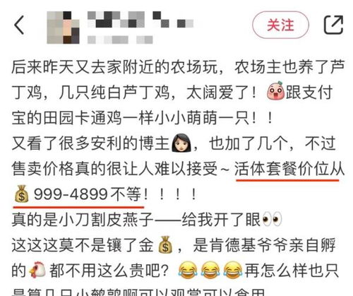 聊聊2026年的天气趋势与黄历预测