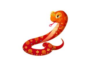 财务状况