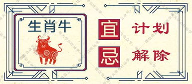 应对有可能出现的挑战