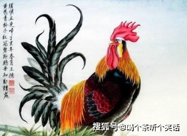 岁月沉沉， 鸡的精神层面