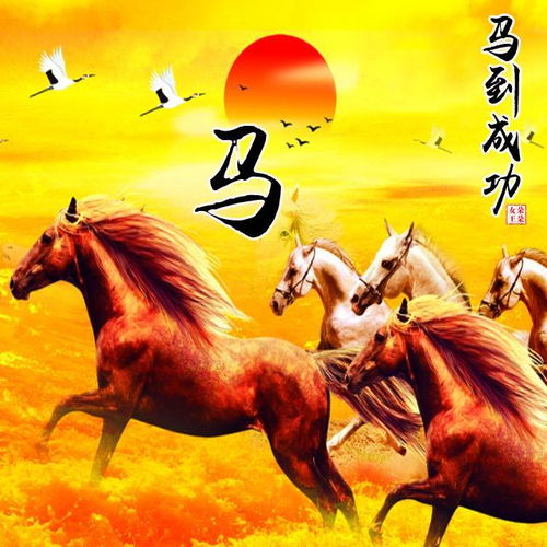 4. 生肖马