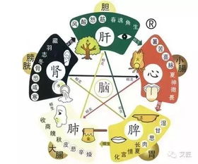 忽然李老板一把揪住我的衣领