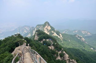 餐饮服务：价格上天，味道入地
