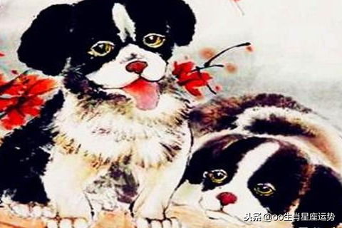 风水摆设与情感调和