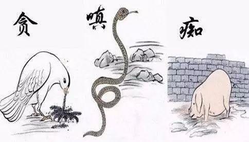 龙——自信背后的暗流